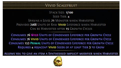 Vivid Scalefruit