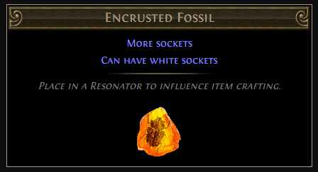 Encrusted Fossil
