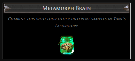Metamorph Brain
