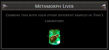 Metamorph Liver