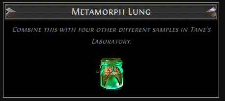 Metamorph Lung