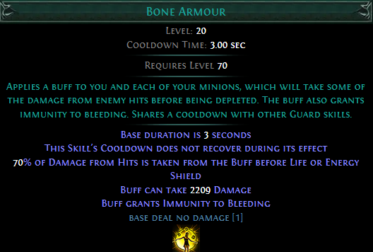 Bone Armour