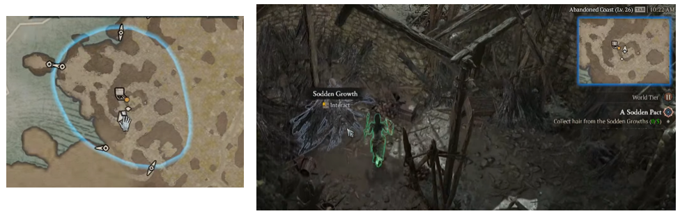Collect hair from the Sodden Growths - Diablo 4
