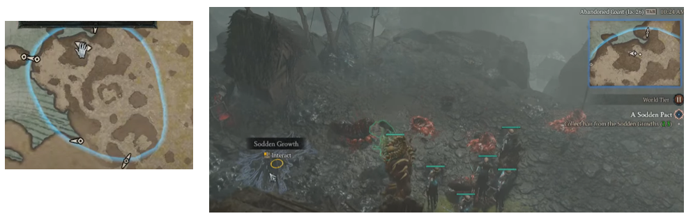 Collect hair from the Sodden Growths - Diablo 4