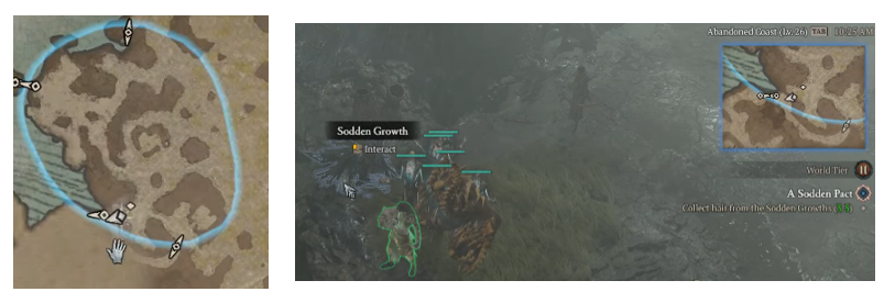 Collect hair from the Sodden Growths - Diablo 4