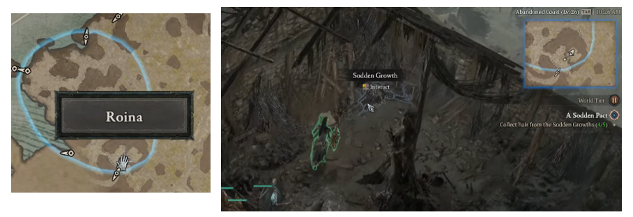 Collect hair from the Sodden Growths - Diablo 4