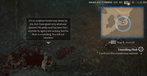 Confront The Mysterious Woman - Diablo 4