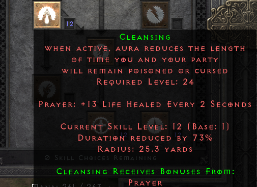 D2R Cleansing Build Example