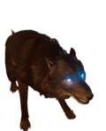 Dire Wolf