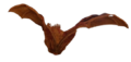 Giant Bat