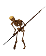 Skeleton Spearman