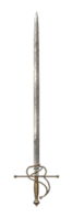 Viola