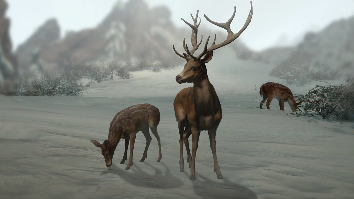 Diablo 4 Deer