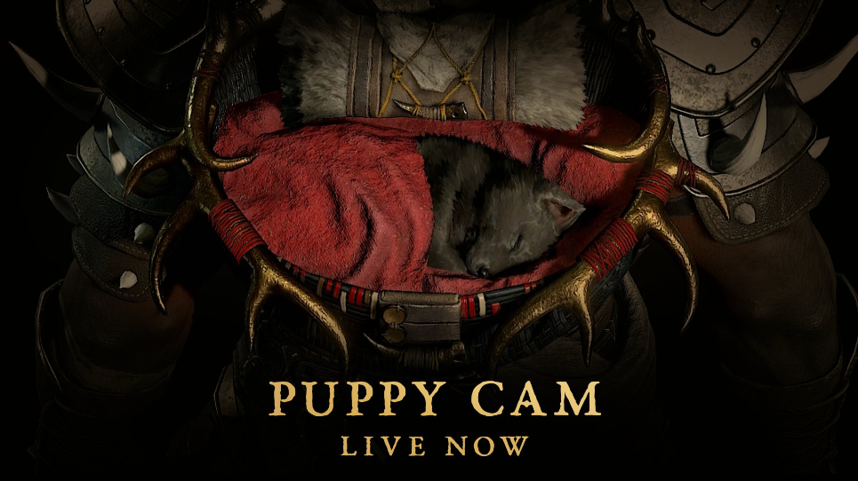 Diablo 4 Puppy Cam