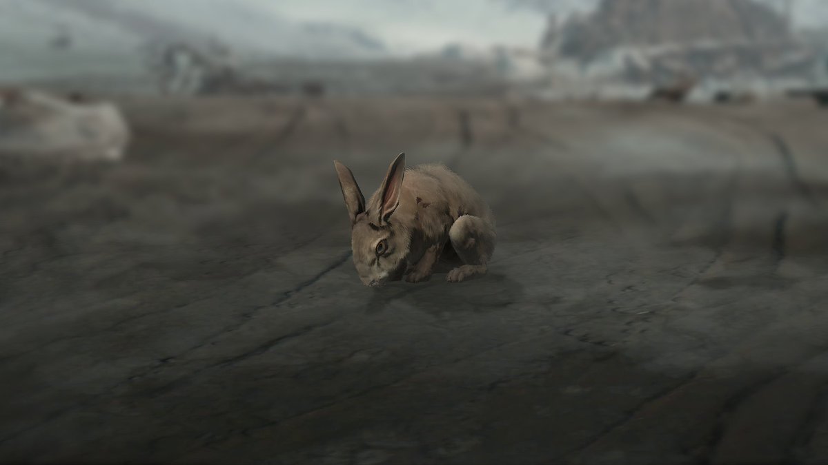 Diablo 4 Rabbits