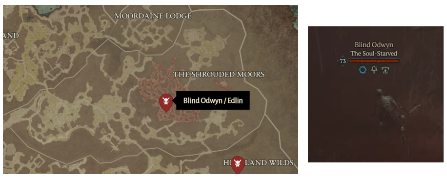 Blind Odwyn - Diablo 4