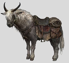Elden Ring Mount