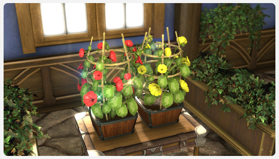 FFXIV Morning Glory Seeds