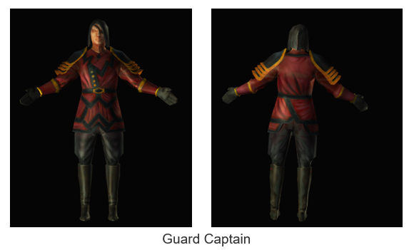 Guard Captain PoE