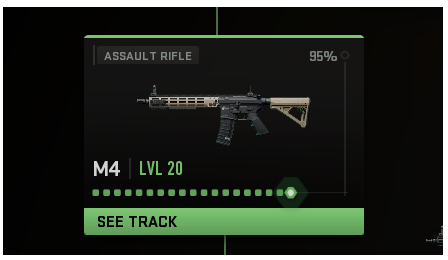 MW3 Max Out a Specific Gun