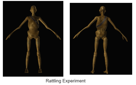 Rattling Experiment PoE