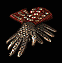 D2R Cleglaw's Pincers