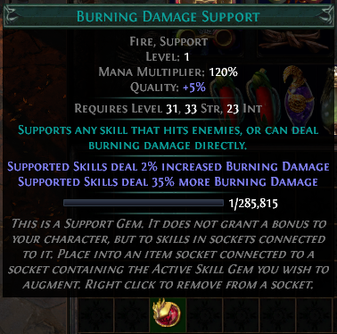 burning-damage-support.png