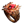 Demigod’s Eye