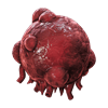 cordycep gland material remnant2 wiki guide 200px