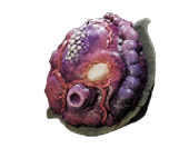 enlarged heart removebg preview