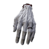 severed_hand_quest_item_remnant2_wiki_guide_100px.png