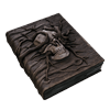 tome_of_the_bringer_engram_remnant2_wiki_guide_100px.png