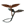 Wings of Entropy