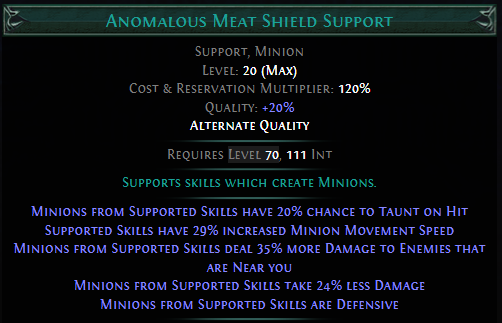 anomalous-meat-shield-support.png