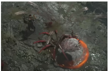 diablo 4 spider