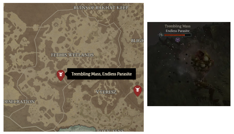 Trembling Mass - Diablo 4