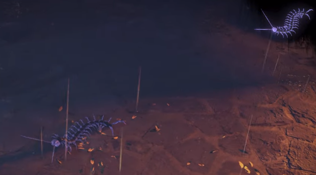 Divergence Centipede Pet PoE