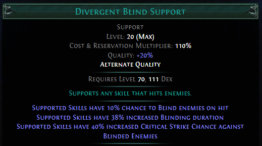 divergent-blind-support.png