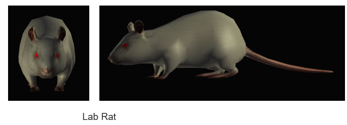 Lab Rat PoE