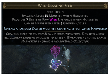 Manual plant a seed