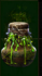 poe-poisonberry-tincture-icon.png