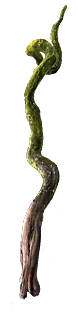Fencoil